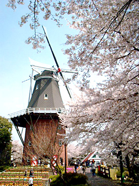 永源山公園 風車